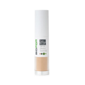 מקדם הגנה סאן בראש Sun Brush